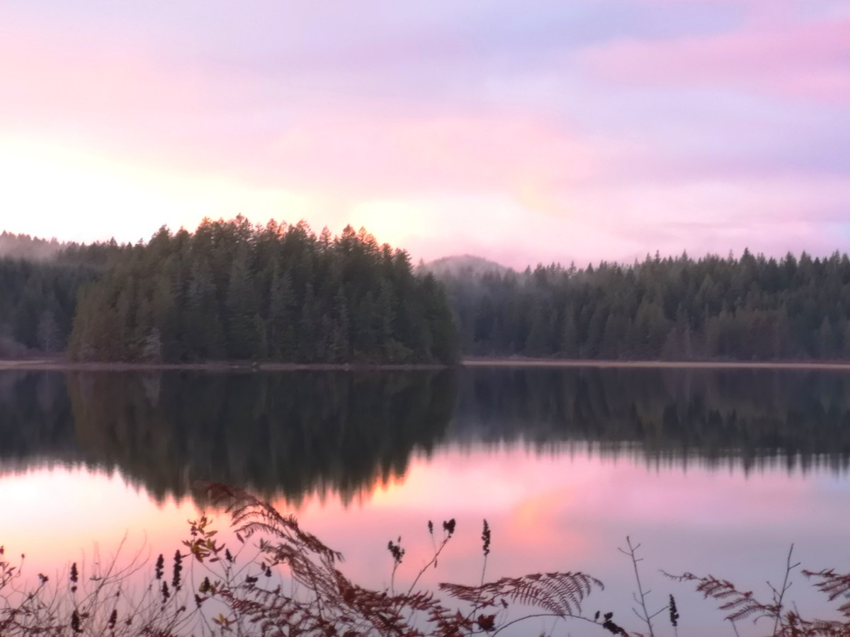 Quiet the Mind to See&nbsp;Within